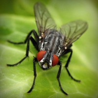 /album/joshuajed47/photolia-a01-jpg/