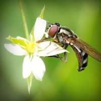 /album/joshuajed47/photolia-a02-jpg/