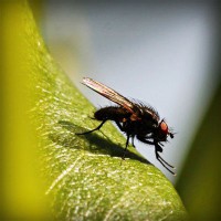 /album/joshuajed47/photolia-a04-jpg/