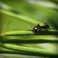 /album/joshuajed47/photolia-a05-jpg/