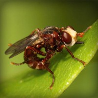 /album/joshuajed47/photolia-a06-jpg/