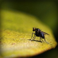 /album/joshuajed47/photolia-a07-jpg/